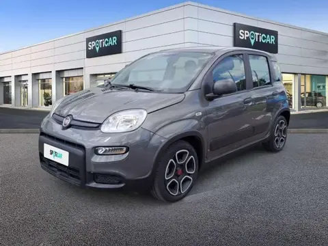 Annonce FIAT PANDA Essence 2022 d'occasion 