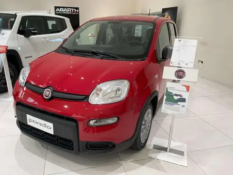 Used FIAT PANDA Hybrid 2024 Ad 