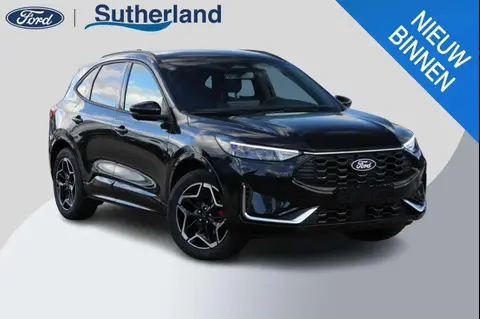 Annonce FORD KUGA Hybride 2024 d'occasion 