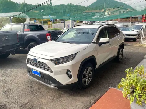 Used TOYOTA RAV4 Hybrid 2020 Ad 