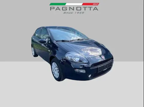 Used FIAT PUNTO Petrol 2018 Ad 