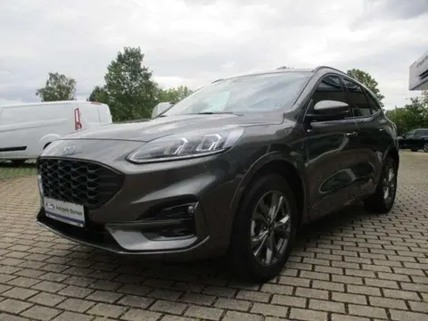 Annonce FORD KUGA Hybride 2023 d'occasion 