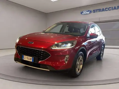 Annonce FORD KUGA Essence 2021 d'occasion 