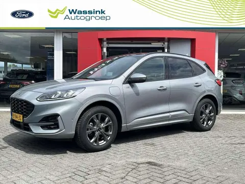 Annonce FORD KUGA Hybride 2022 d'occasion 