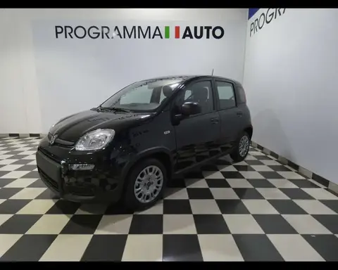 Annonce FIAT PANDA Hybride 2024 d'occasion 