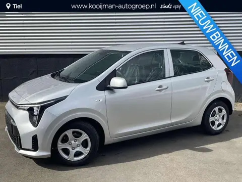 Used KIA PICANTO Petrol 2024 Ad 