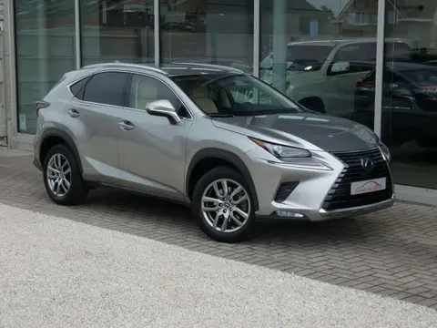 Annonce LEXUS NX Hybride 2021 d'occasion 