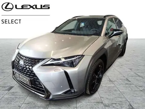 Used LEXUS UX Hybrid 2021 Ad 