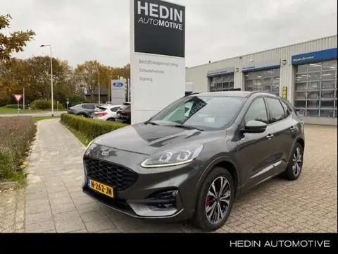 Annonce FORD KUGA Hybride 2021 d'occasion 