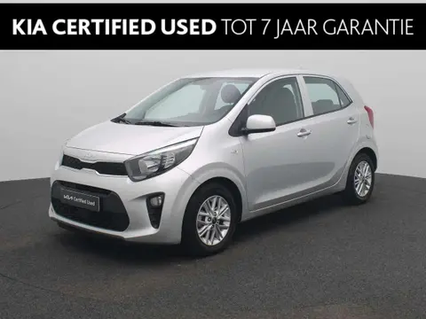 Used KIA PICANTO Petrol 2022 Ad 