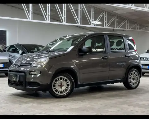 Used FIAT PANDA Petrol 2023 Ad 