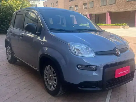 Used FIAT PANDA Hybrid 2022 Ad 