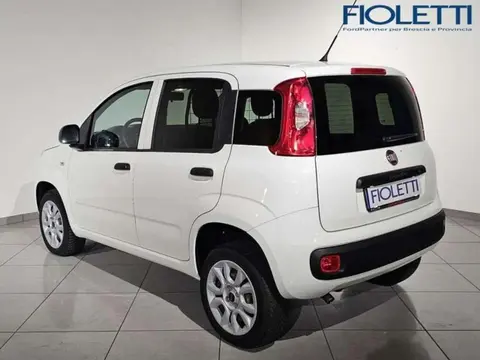 Annonce FIAT PANDA  2019 d'occasion 