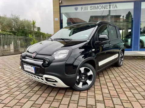 Used FIAT PANDA Hybrid 2024 Ad 