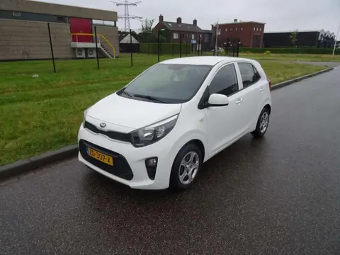 Used KIA PICANTO Petrol 2019 Ad 