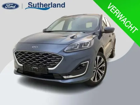 Used FORD KUGA Hybrid 2023 Ad 