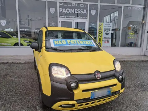 Annonce FIAT PANDA Essence 2019 d'occasion 