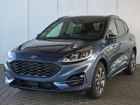 Annonce FORD KUGA Essence 2022 d'occasion 