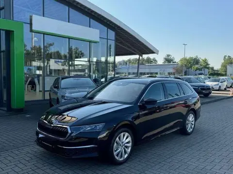 Annonce SKODA OCTAVIA Diesel 2024 d'occasion 