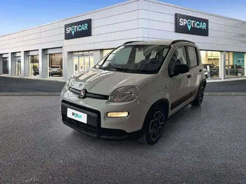 Used FIAT PANDA Petrol 2022 Ad 