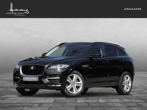 Used JAGUAR F-PACE Petrol 2019 Ad 