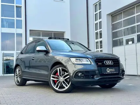 Annonce AUDI SQ5 Diesel 2017 d'occasion 