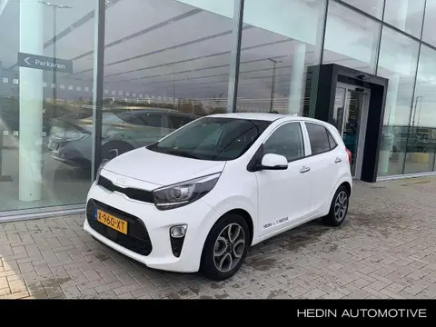 Used KIA PICANTO Petrol 2024 Ad 