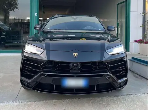 Used LAMBORGHINI URUS Petrol 2022 Ad 