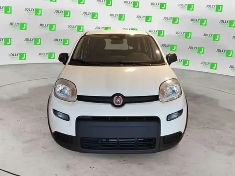 Annonce FIAT PANDA Hybride 2024 d'occasion 