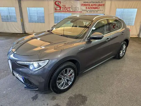 Used ALFA ROMEO STELVIO Petrol 2021 Ad 