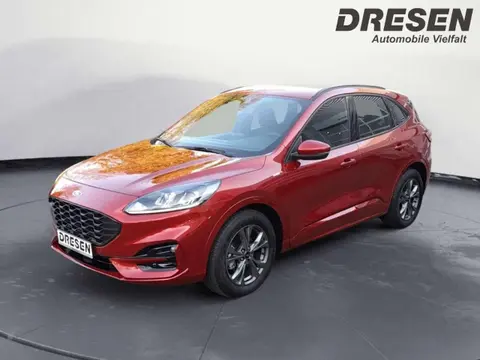 Used FORD KUGA Petrol 2022 Ad 