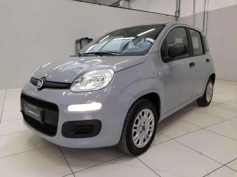 Annonce FIAT PANDA Essence 2019 d'occasion 