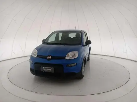 Used FIAT PANDA Hybrid 2024 Ad 