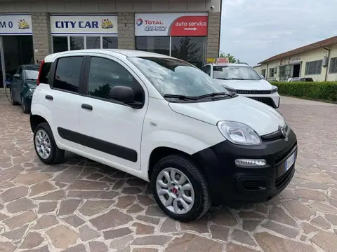 Annonce FIAT PANDA Essence 2020 d'occasion 