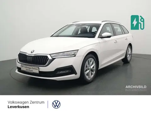 Annonce SKODA OCTAVIA Essence 2022 d'occasion 