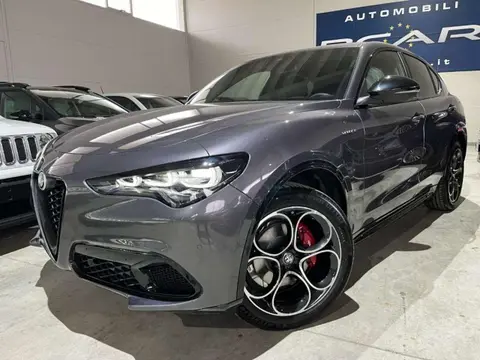 Used ALFA ROMEO STELVIO Diesel 2024 Ad 