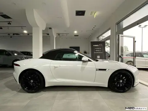 Used JAGUAR F-TYPE Petrol 2019 Ad 