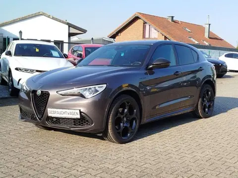 Annonce ALFA ROMEO STELVIO Essence 2021 d'occasion 