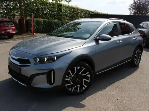 Used KIA XCEED Petrol 2024 Ad Belgium