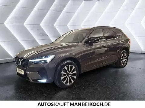 Annonce VOLVO XC60 Diesel 2023 d'occasion 