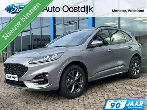 Used FORD KUGA Hybrid 2023 Ad 