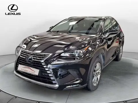 Annonce LEXUS NX Hybride 2019 d'occasion 