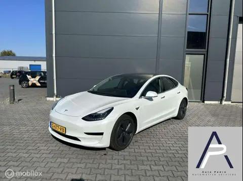 Used TESLA MODEL 3 Electric 2019 Ad 