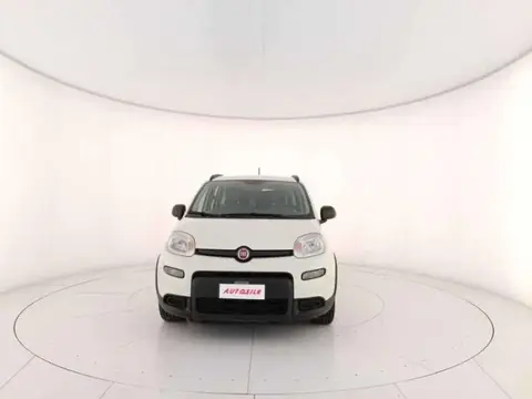 Used FIAT PANDA Hybrid 2022 Ad 