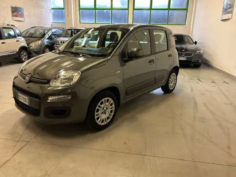 Used FIAT PANDA Petrol 2017 Ad 