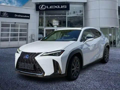 Used LEXUS UX Hybrid 2020 Ad 