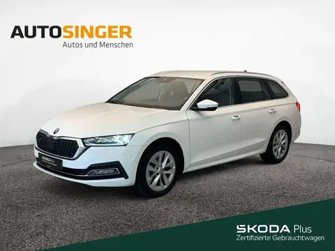 Used SKODA OCTAVIA Petrol 2023 Ad 