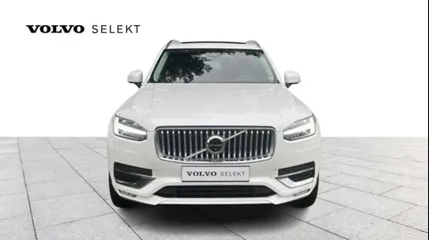 Annonce VOLVO XC90 Diesel 2023 d'occasion Belgique