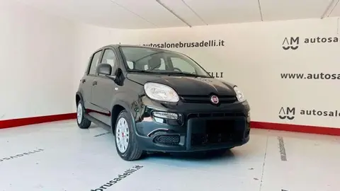 Annonce FIAT PANDA Hybride 2024 d'occasion 