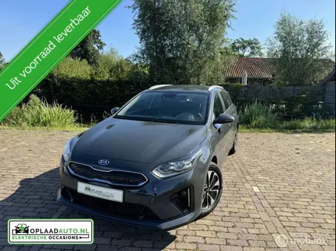 Used KIA CEED Hybrid 2021 Ad 